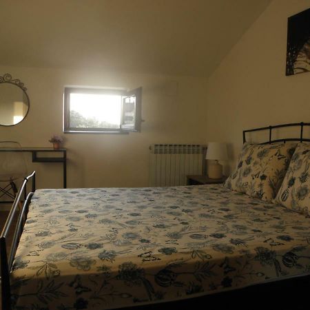 Apartman Klesinger 2 بوريتش المظهر الخارجي الصورة